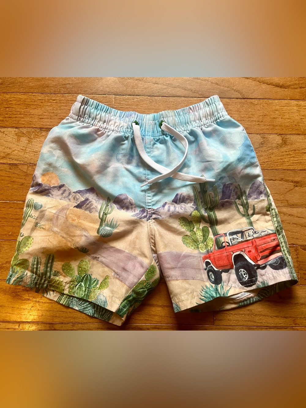 Little Boy’s Crusin’ Through the Desert Swim Trunks.